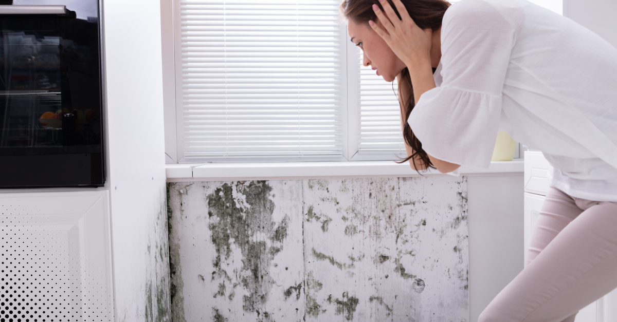 Woman inspecting mold growth on the wall near a window in a kitchen.