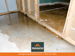 Prevent Heat Loss and Moisture Damage with Attic and Basement Inspections